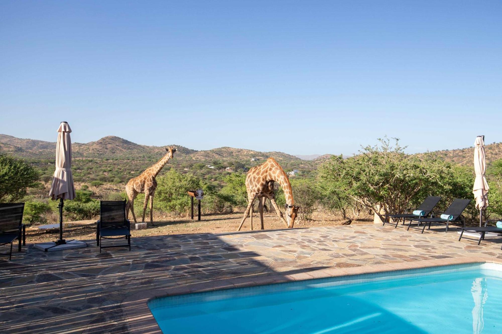 Windhoek Game Camp Lafrenz Township Dış mekan fotoğraf
