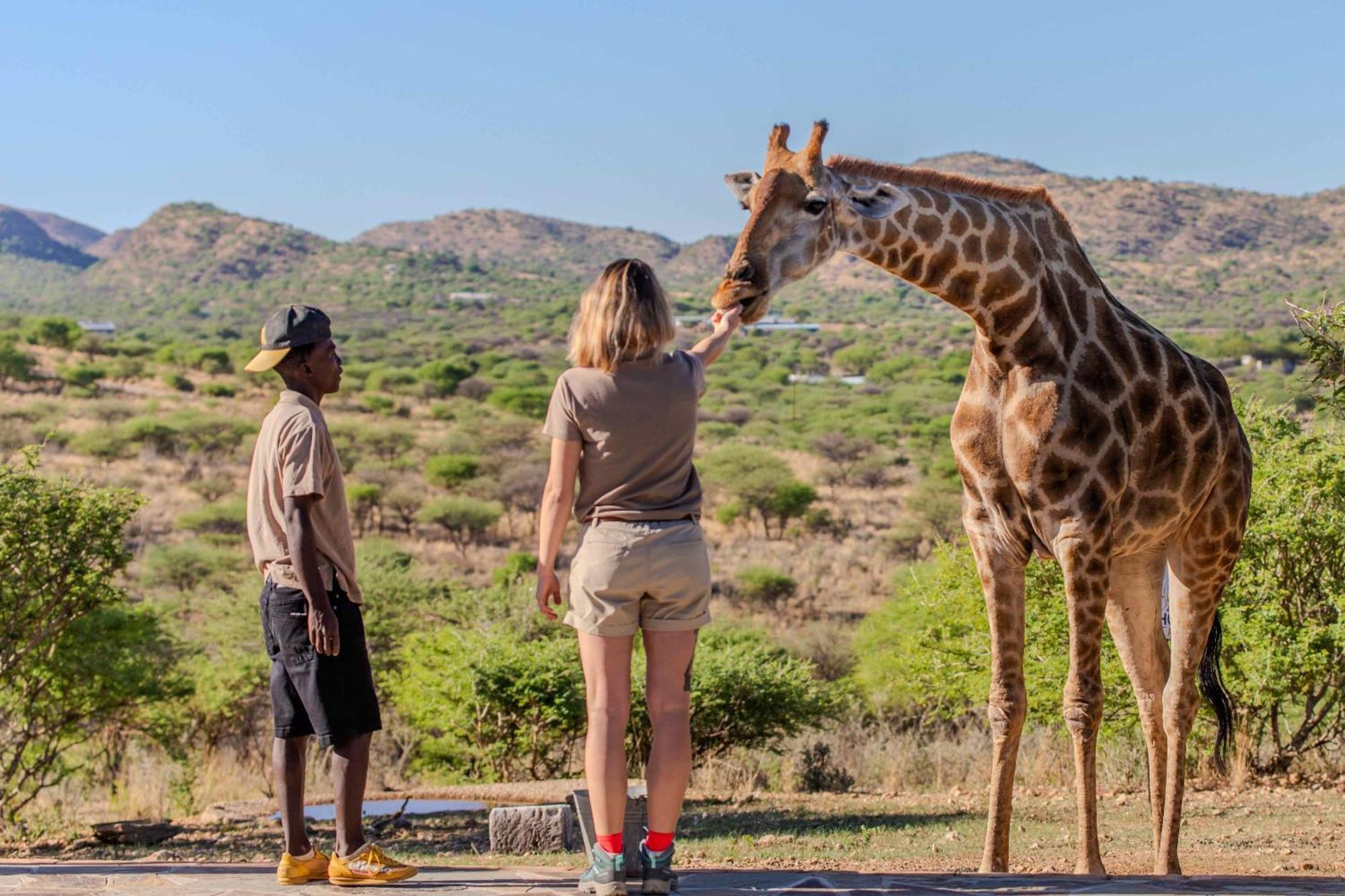 Windhoek Game Camp Lafrenz Township Dış mekan fotoğraf