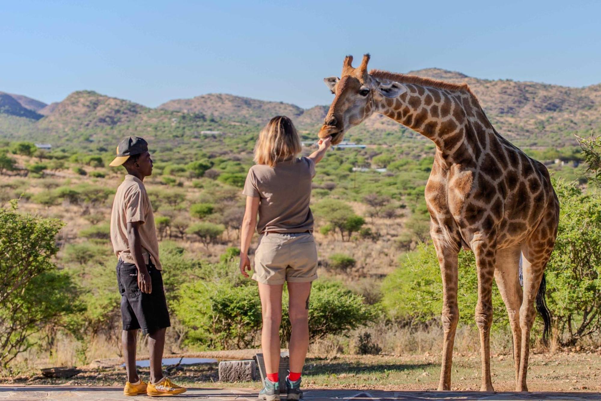 Windhoek Game Camp Villa Lafrenz Township Dış mekan fotoğraf