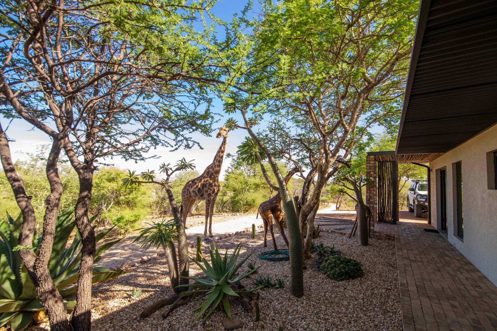 Windhoek Game Camp Lafrenz Township Dış mekan fotoğraf