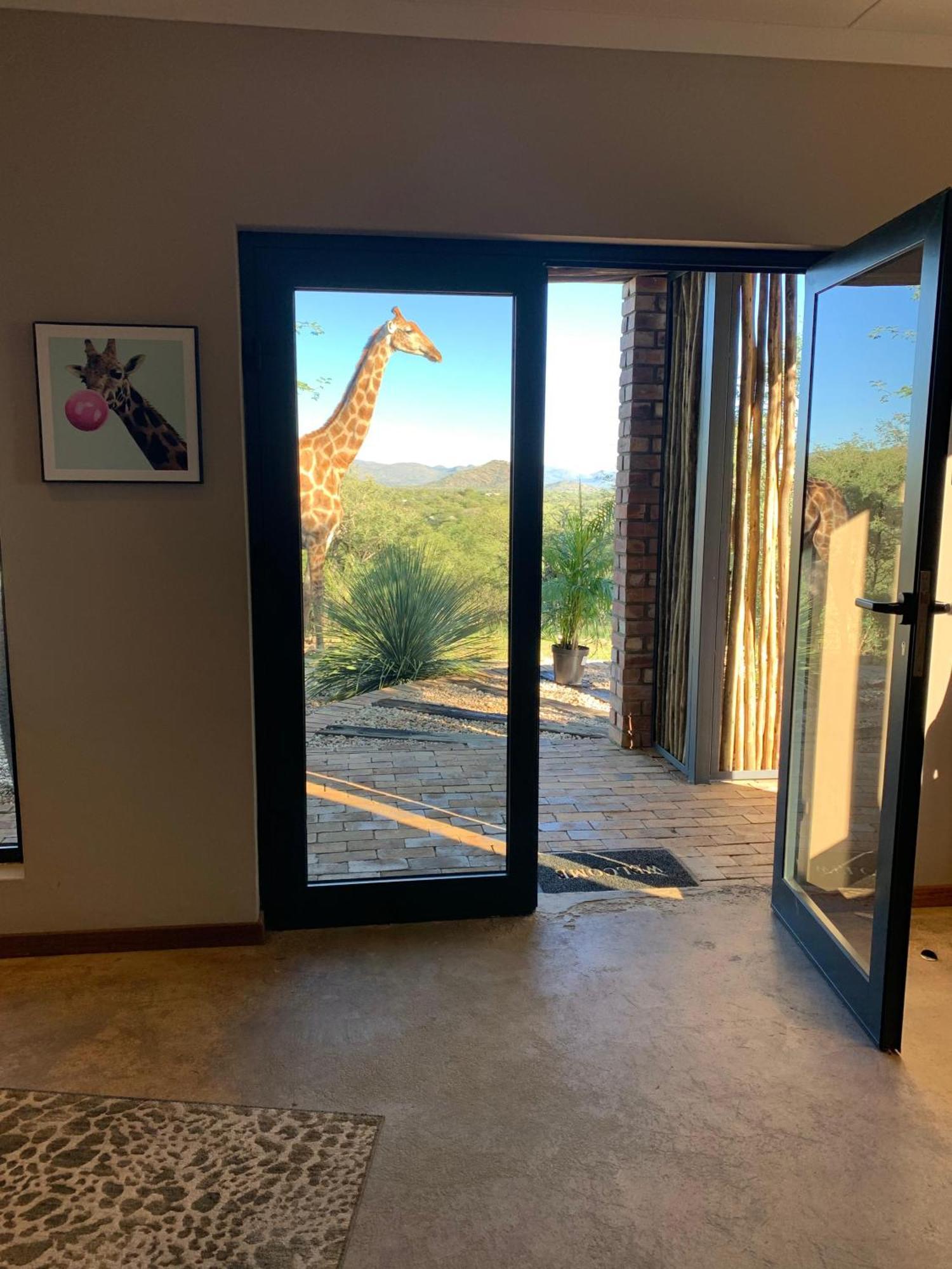 Windhoek Game Camp Lafrenz Township Dış mekan fotoğraf
