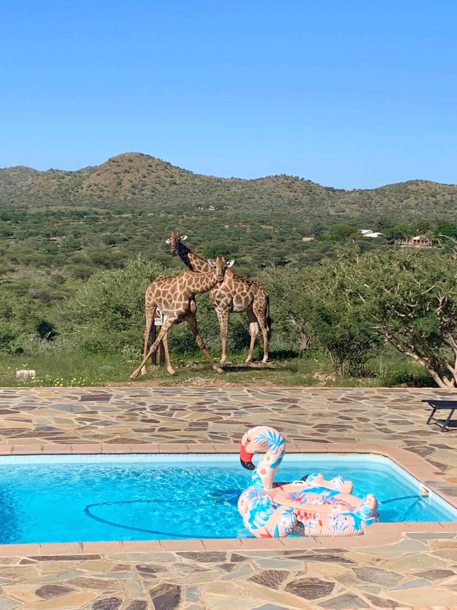 Windhoek Game Camp Lafrenz Township Dış mekan fotoğraf