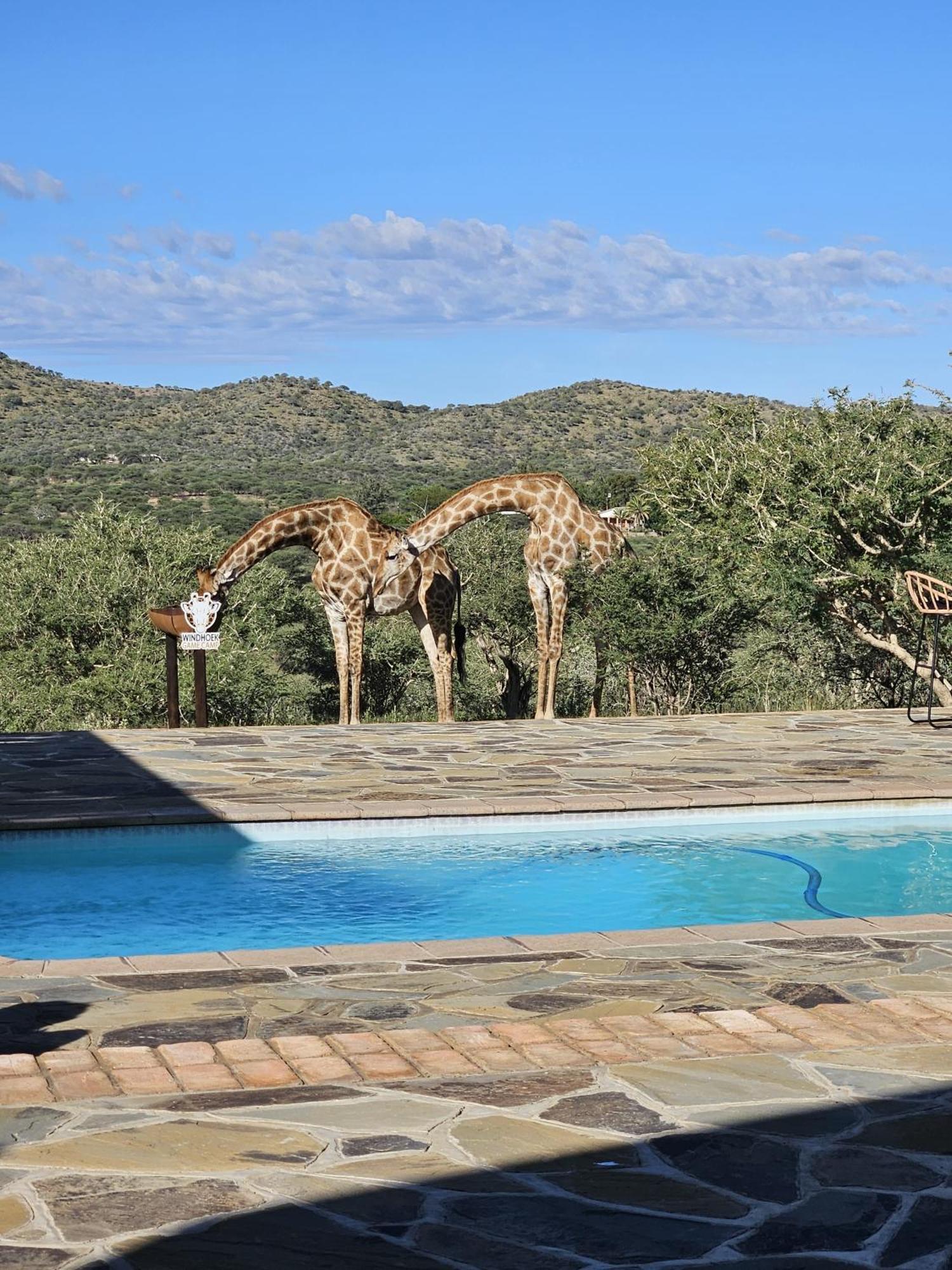 Windhoek Game Camp Lafrenz Township Dış mekan fotoğraf