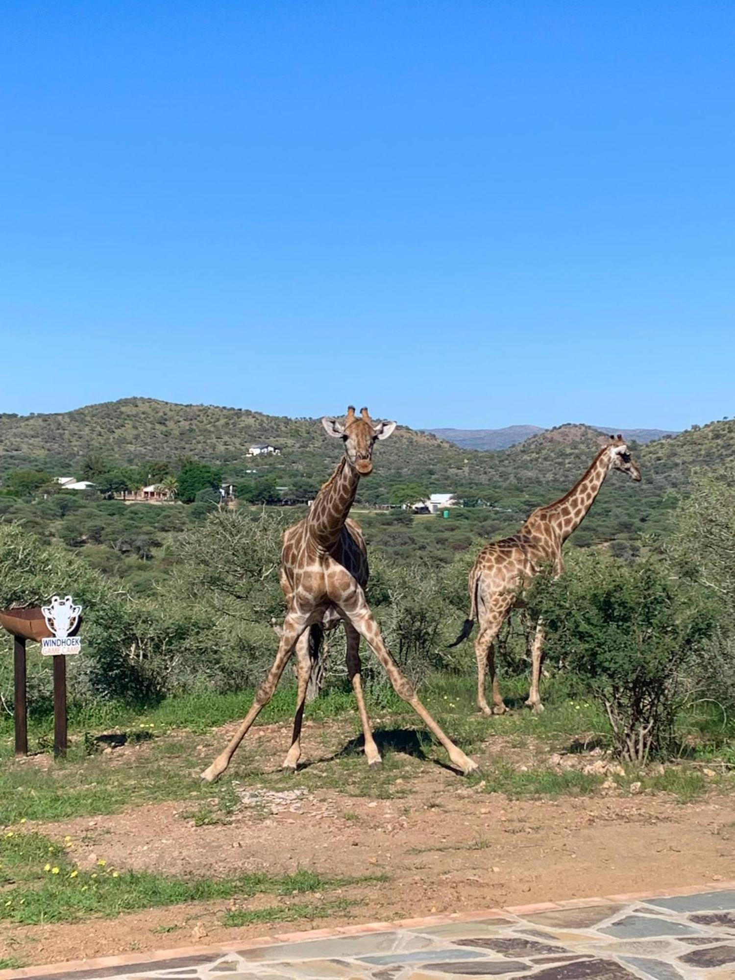 Windhoek Game Camp Villa Lafrenz Township Dış mekan fotoğraf