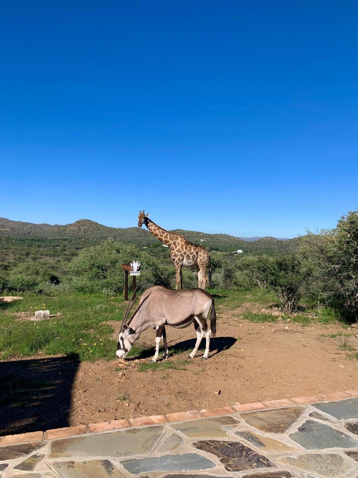Windhoek Game Camp Lafrenz Township Dış mekan fotoğraf