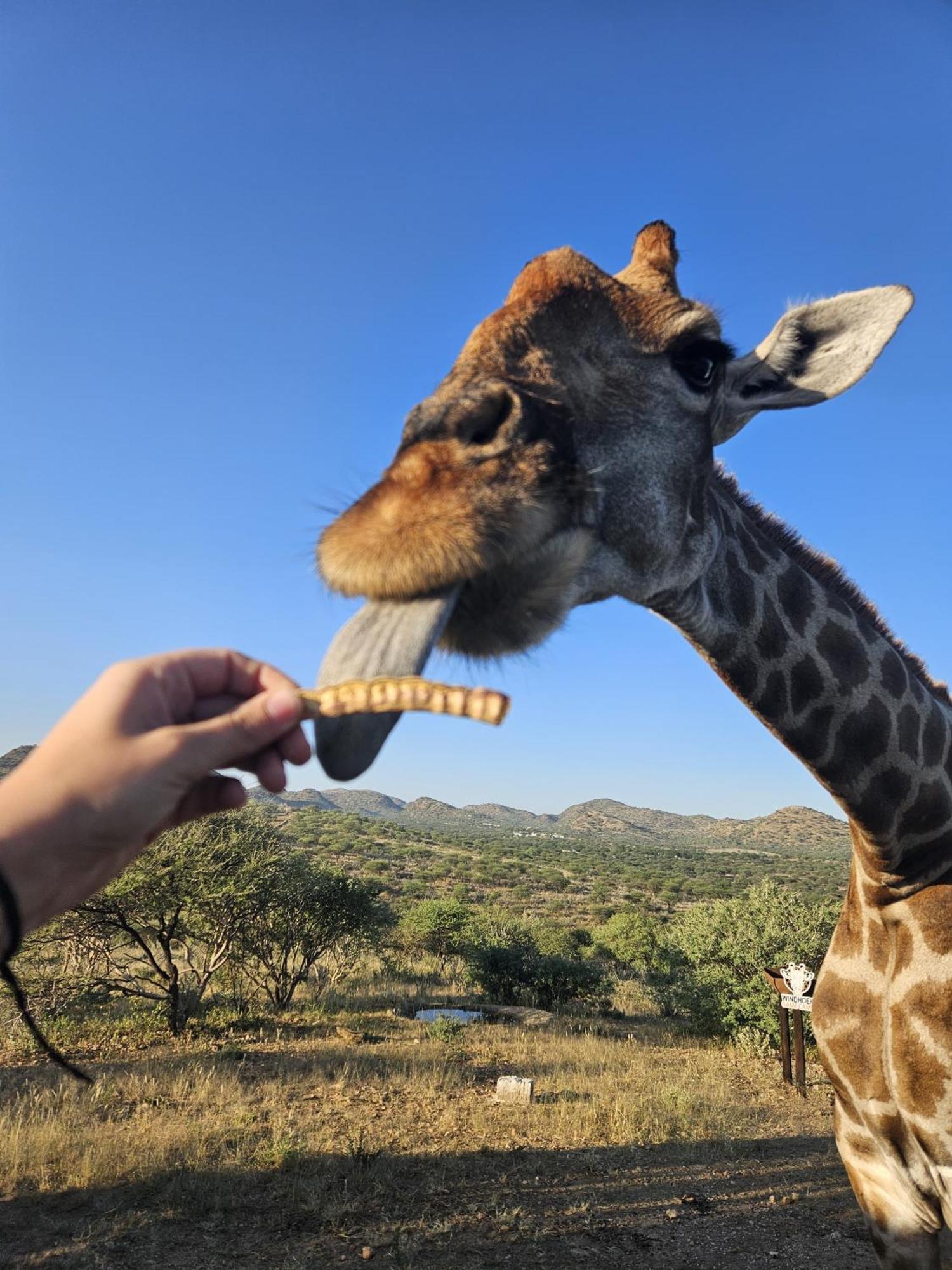 Windhoek Game Camp Lafrenz Township Dış mekan fotoğraf